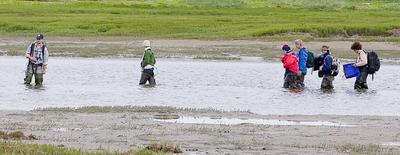 Wading Wading